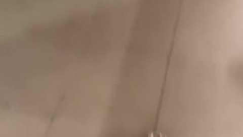 chromeazz toes