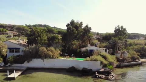 Brigitte Bardot - A Rebel with a Cause