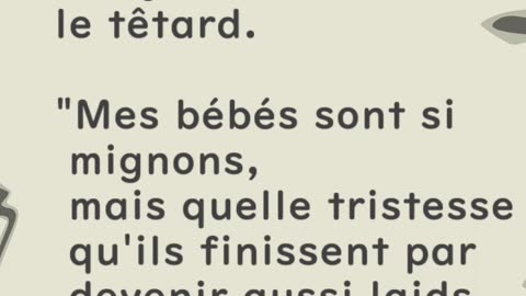 Mère grenouille et têtard - Huhito Fables-Version française Vol.20