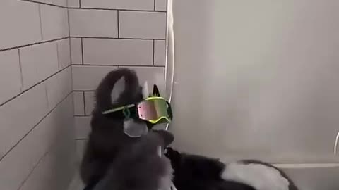 .