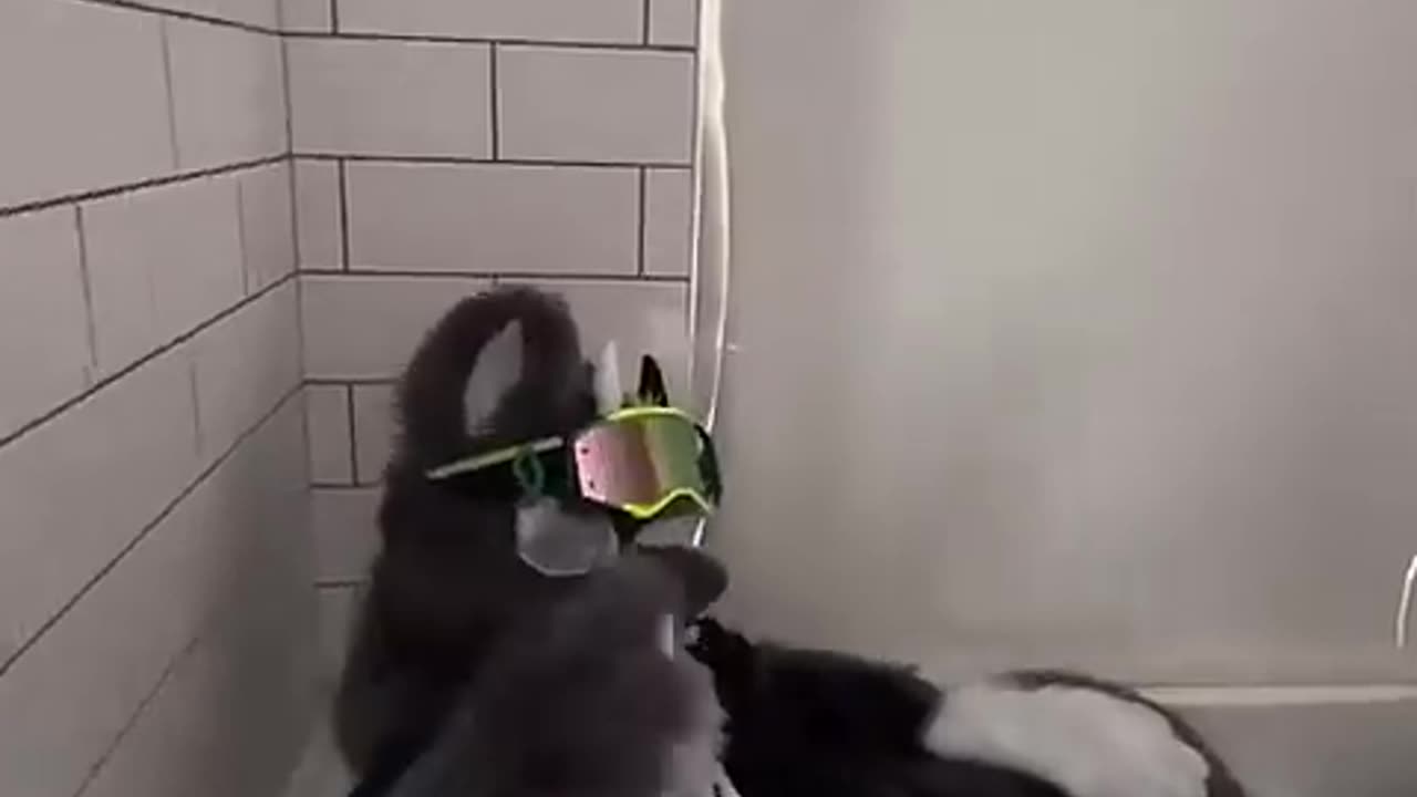 .
