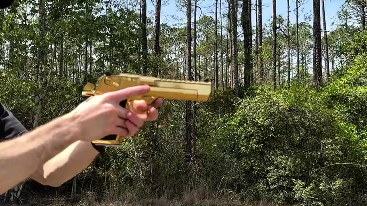 24K Gold Desert Eagle .50 AE