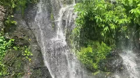 Waterfall Stock Video Footage