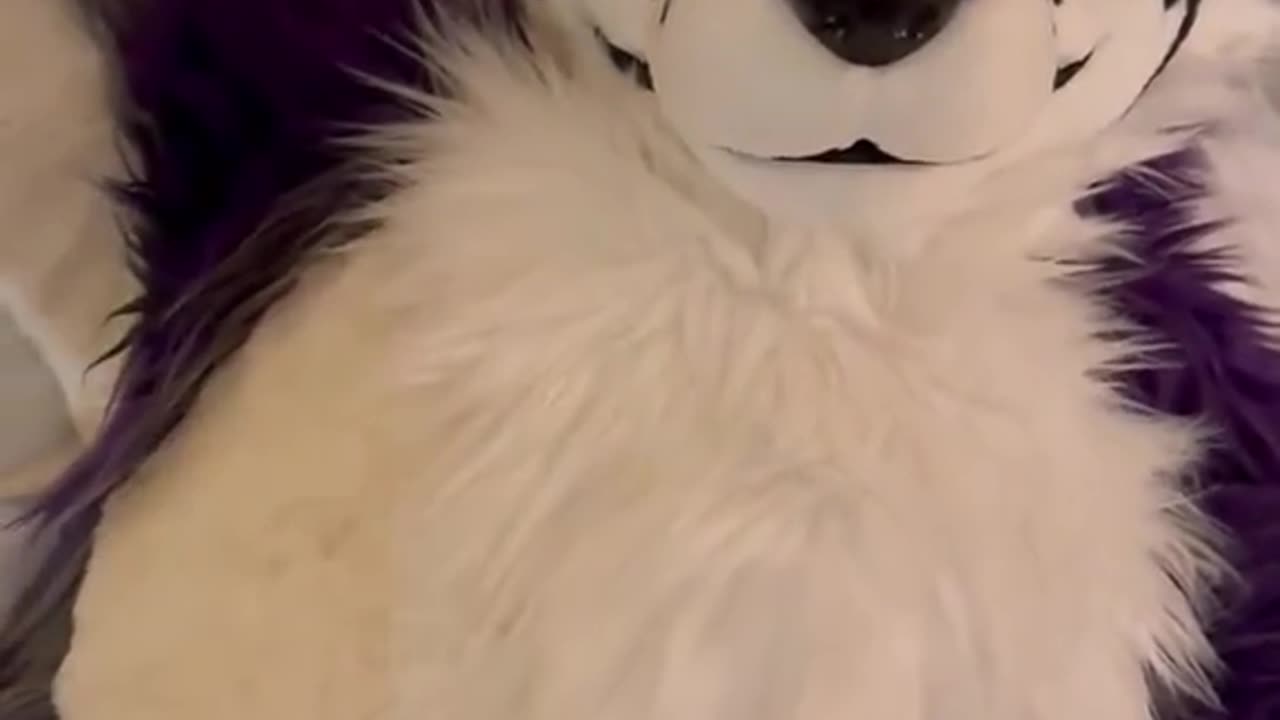 .