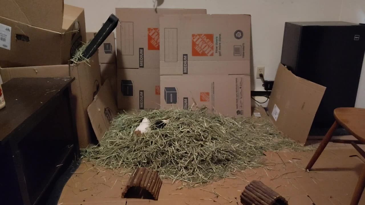 WHEN YOU STOPPED PLAYING THE DOORS FOR 34 SECONDS