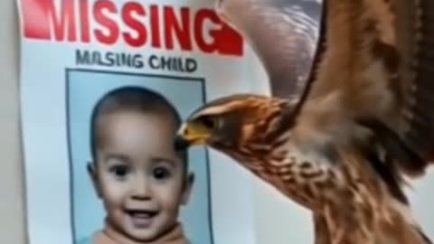 The Story of the Newborn and the Falcon