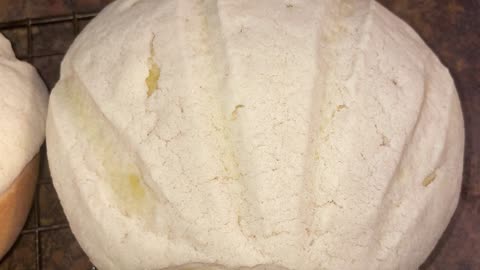 Pan Dulce, (Conchas) Sweet Bread