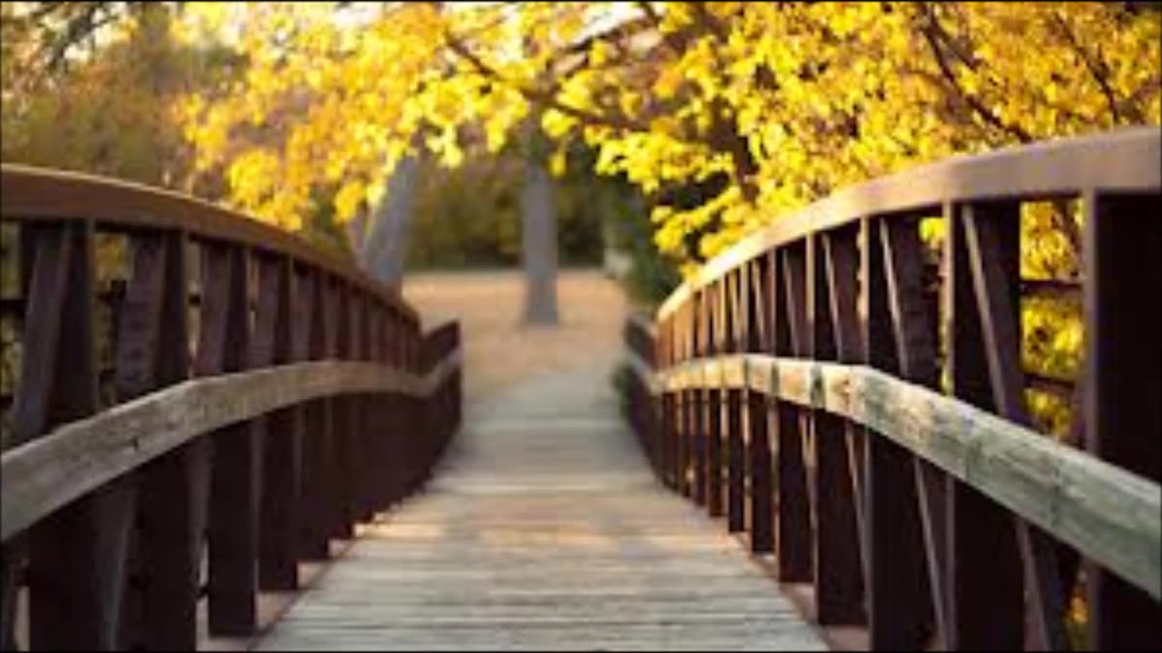 Autumn Fall - Eamonn Karran