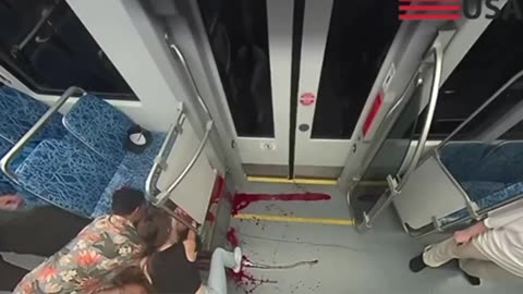 *trigger warning Iryna Zarutska apparent stabbing