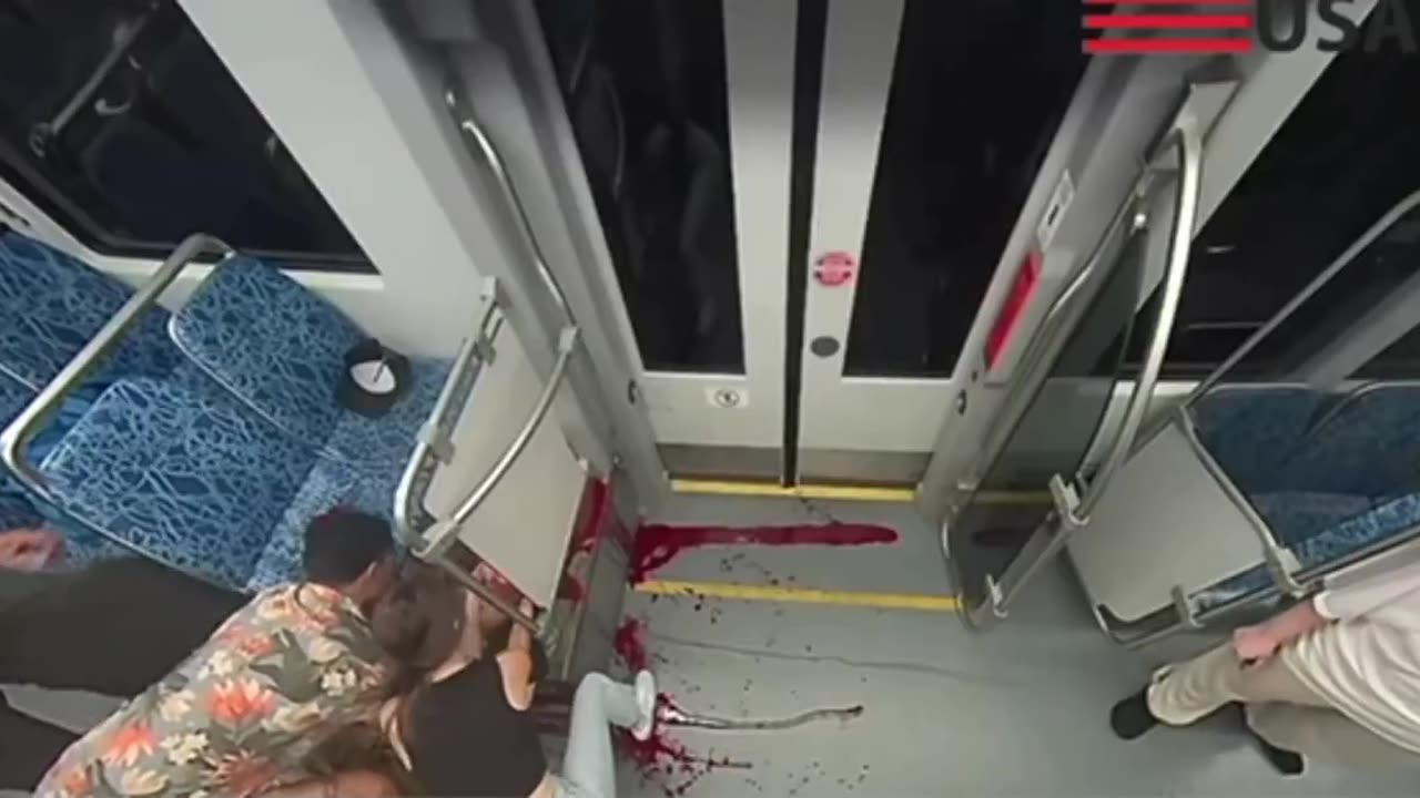 *trigger warning Iryna Zarutska apparent stabbing