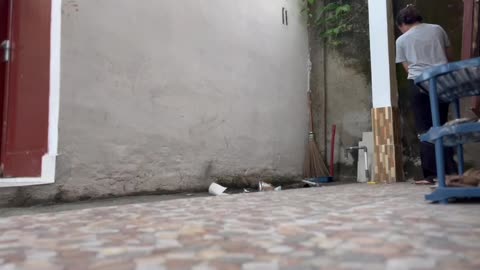 "Cleaning the Front Yard | Relaxing Morning Vlog"