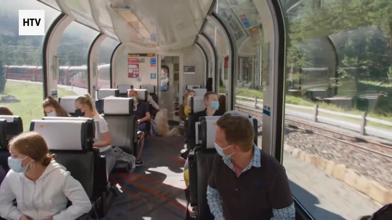 Legends of the Jungle’s Apex Predators