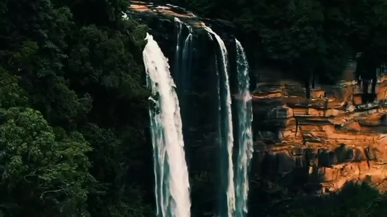Mother Land 🇱🇰❤️🌿 Sri Lanka