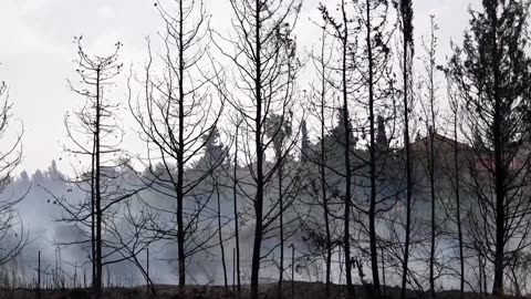 Air tankers working to contain wildfires near Jerusalem