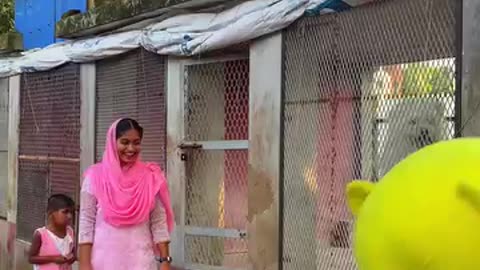 Comedy videos 😂 very funny 🤣