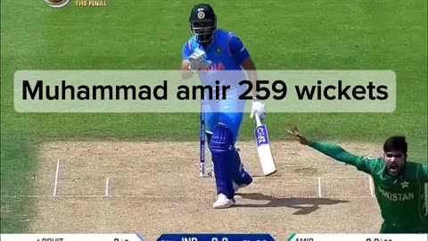 Cricket fans