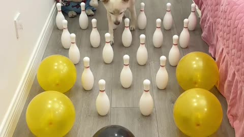 Impossible task or it just might be revenge for the outfit 🤣