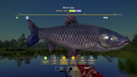 RF4 Black Carp at Bear Lake | No Talking