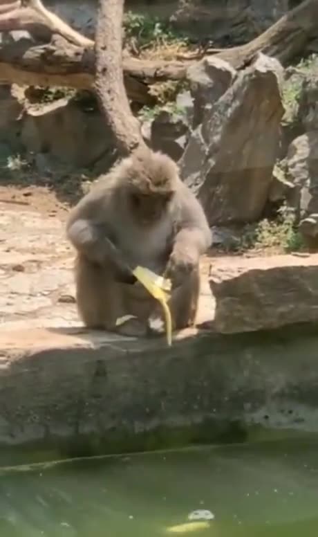 I Hate It When That Happens