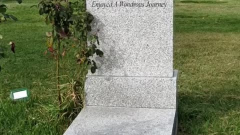 FAMOUS GRAVES - VOL. 346: DARREN MCGAVIN