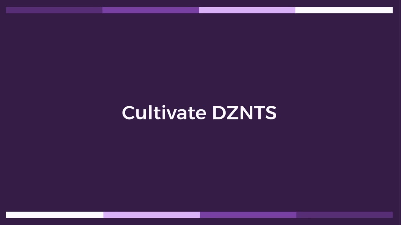 The Launch of $DZNTS