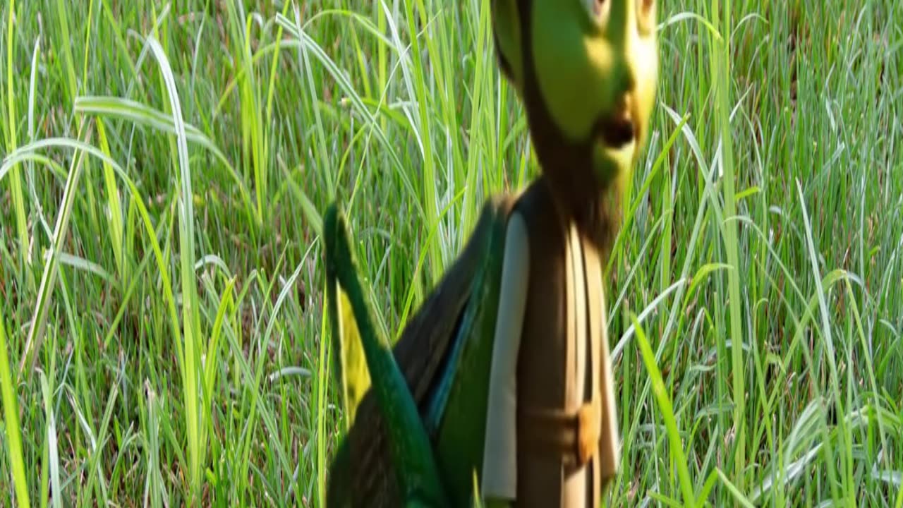 exploding Lawnmower Gose Boom