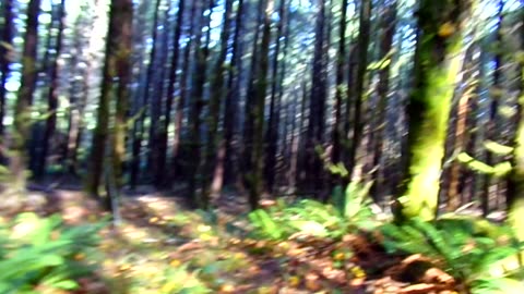 Out in the wilderness for a day 11/8/25: