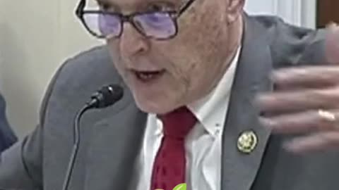 Congressman Biggs grills Dr. Mobbs on the UN: Success or Flop?