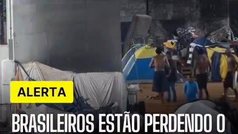 💰 A CAIXA ENTROU PARA O MUNDO DOS “BETS” — QUANDO O GOVERNO VIRA O PRÓPRIO JOGADOR! 🎲