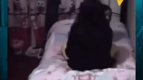 👥😨 Who Is Amy's Friend? Unseen Presence or Something Worse? | TheHauntingHour