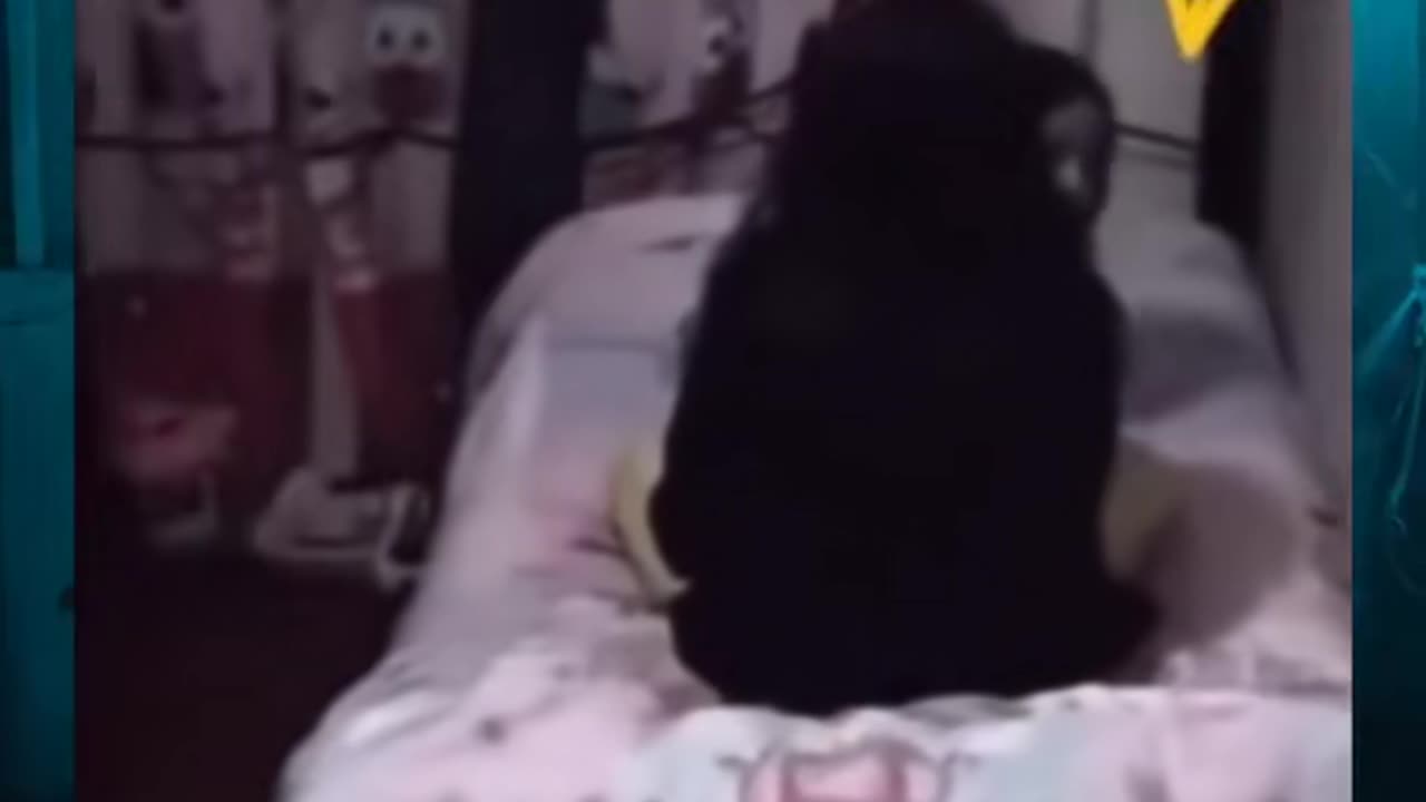 👥😨 Who Is Amy's Friend? Unseen Presence or Something Worse? | TheHauntingHour