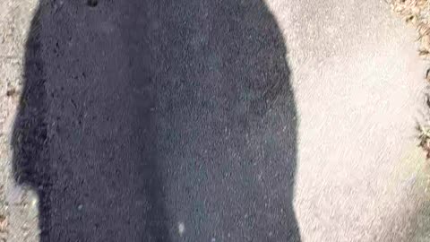 Day 29: 30 day challenge