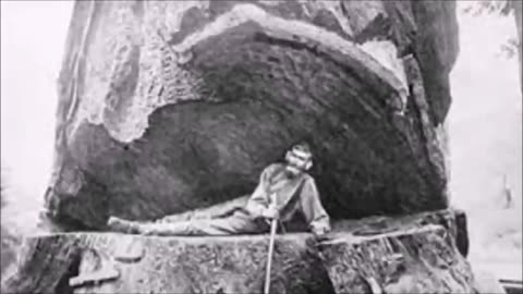 THE LUMBERJACKS OF CA 1850: GIANT TREES ERASED FROM MIND [2025-10-25] - HIDDEN RABBIT 3 (VIDEO)