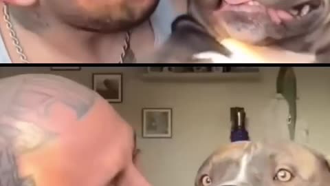 FUNNY & CUTE ANIMALS