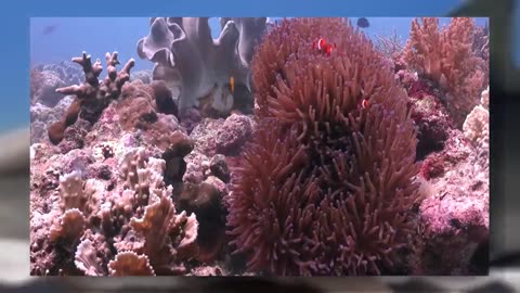 Part_04 The Ocean (4K UltraHD)- Relaxation Film - Peaceful Relaxing Music