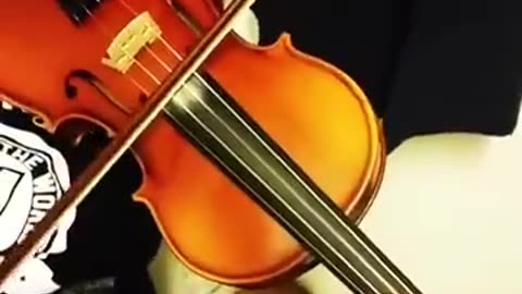 Violin