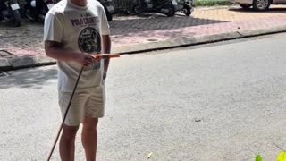 😂🌱 You Won't Believe What Happens When You Forget to Water Your Plant! | FunFM