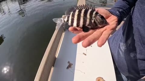 14 Days Hunting, Fishing & Crabbing Florida_part2