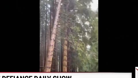 Logging: The Most Dangerous Job? You Won't Believe This!