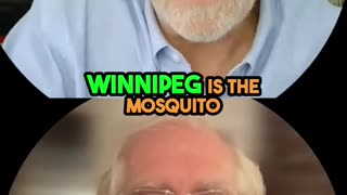 Winnipeg Mosquitoes: The Swarms You Won't Believe!