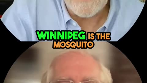 Winnipeg Mosquitoes: The Swarms You Won't Believe!