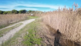 Trekking and Birdwatching in Lagoa 22th Nov 2025 pt 1