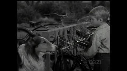 Lassie - Episode 137 - 'The Blanket