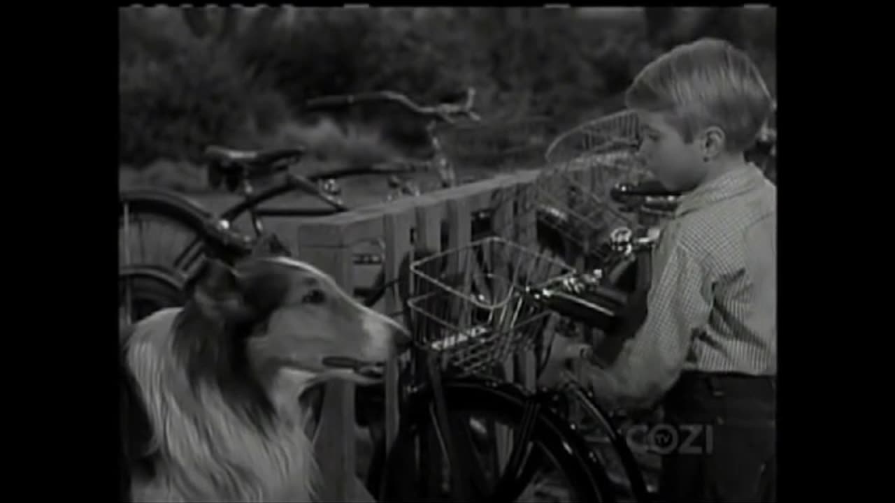 Lassie - Episode 137 - 'The Blanket