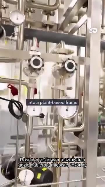 TEN „KURCZAK” NIE POCHODZI Z PODWÓRKA ANI Z FARMY Żadnych ferm, żadnych piór – to mięso jest hodowane w laboratorium z prawdziwych komórek zwierzęcych.