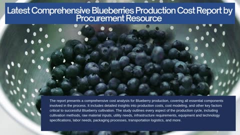 Blueberries Production Cost Report