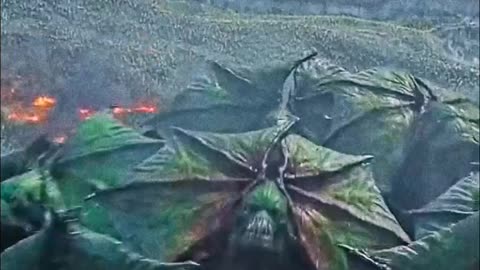 Movie #Storytelling #ShortFilm #ShortMovie #Movie #MiniMovie #EmotionalStory #Shorts #short #song