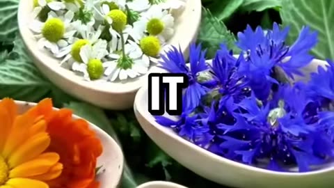 The best herbs to heal your body naturally 🌿 #health #nutrition #naturalhealing #herbs