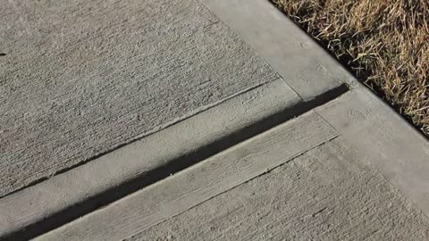 Why Concrete Highways Crack—and What Engineers Do About It