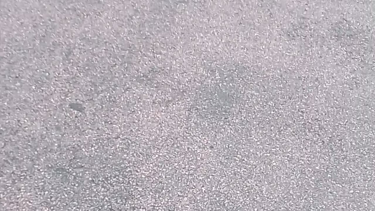 Car Corvette show